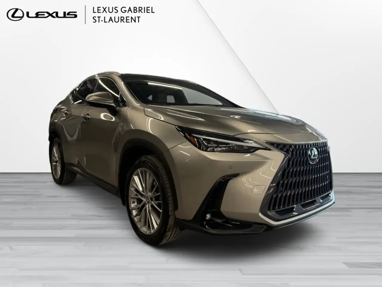 Lexus NX fotografie Lexus NX