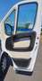 Fiat Ducato MAXI 35 LH1 2.3 MTJ CASSONE FISSO E GRU Bianco - thumbnail 15