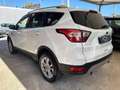 Ford Kuga 2.0 TDCI 150 CV S&S 4WD Titanium Bianco - thumbnail 5