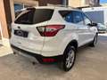 Ford Kuga 2.0 TDCI 150 CV S&S 4WD Titanium Bianco - thumbnail 4