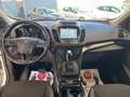 Ford Kuga 2.0 TDCI 150 CV S&S 4WD Titanium Bianco - thumbnail 10