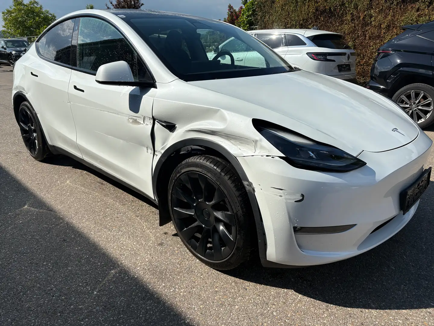 Tesla Model Y LONG RANGE RWD Bianco - 2
