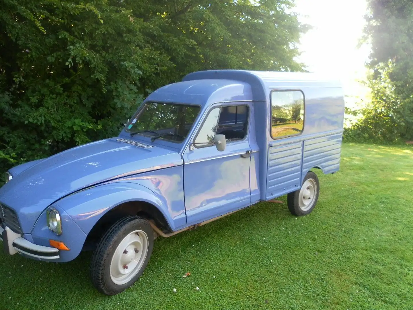 Citroen Acadiane AYCD FOURGON Bleu - 2