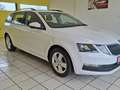 Skoda Octavia 1.BESITZ, PDC, TEMPOMAT, SITZHEIZUNG Weiß - thumbnail 9