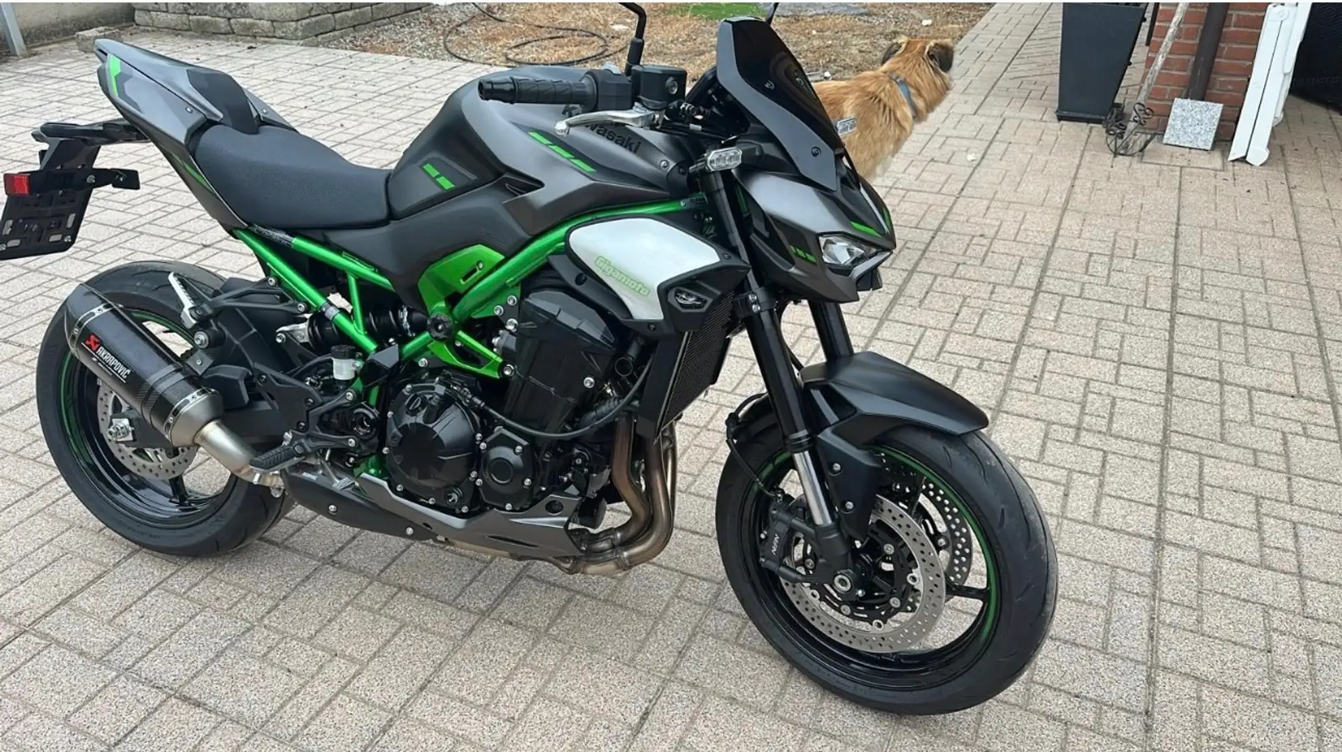 Kawasaki Z 900 Performance Zelená - 1