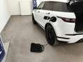 Land Rover Range Rover Evoque 1.5 I3 PHEV 300 CV AWD auto Pelle Navi Cruise 20" Blanc - thumbnail 48