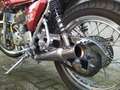 Mash Café Racer TT40 Roşu - thumbnail 9