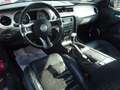 Ford Mustang 3.7 V6 305 CV - thumbnail 11