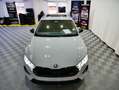 Skoda Octavia Combi RS 2.0 TSI PANO AHK CANTON Grau - thumbnail 13