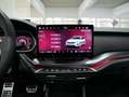 Skoda Octavia Combi RS 2.0 TSI PANO AHK CANTON Grau - thumbnail 24