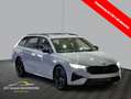 Skoda Octavia Combi RS 2.0 TSI PANO AHK CANTON Grau - thumbnail 1