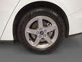 Ford Focus Turnier 1,0 EcoBoost Hybrid Titanium Weiß - thumbnail 15