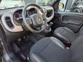 Fiat Panda Sport 1.0 GSE Hybrid *16"LM+7"TS+PDC+Klima Grau - thumbnail 10