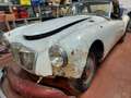 MG MGA Spider 1.5 Blanc - thumbnail 3