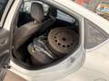 Ford Fiesta Fiesta Trend 1,0 Start/Stop Trend Start/Stop Weiß - thumbnail 10