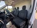 Ford Transit 350 L4H3 Trend | Kamera | Klimaautomatik Wit - thumbnail 27