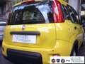 Fiat Panda 1.0 FireFly S&S Hybrid Pandina Urban Vettura Nuova Giallo - thumbnail 9