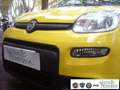 Fiat Panda 1.0 FireFly S&S Hybrid Pandina Urban Vettura Nuova Giallo - thumbnail 2