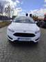 Ford Focus Turnier 1.5 TDCi DPF Start-Stopp-System COOL&CONNE - thumbnail 13