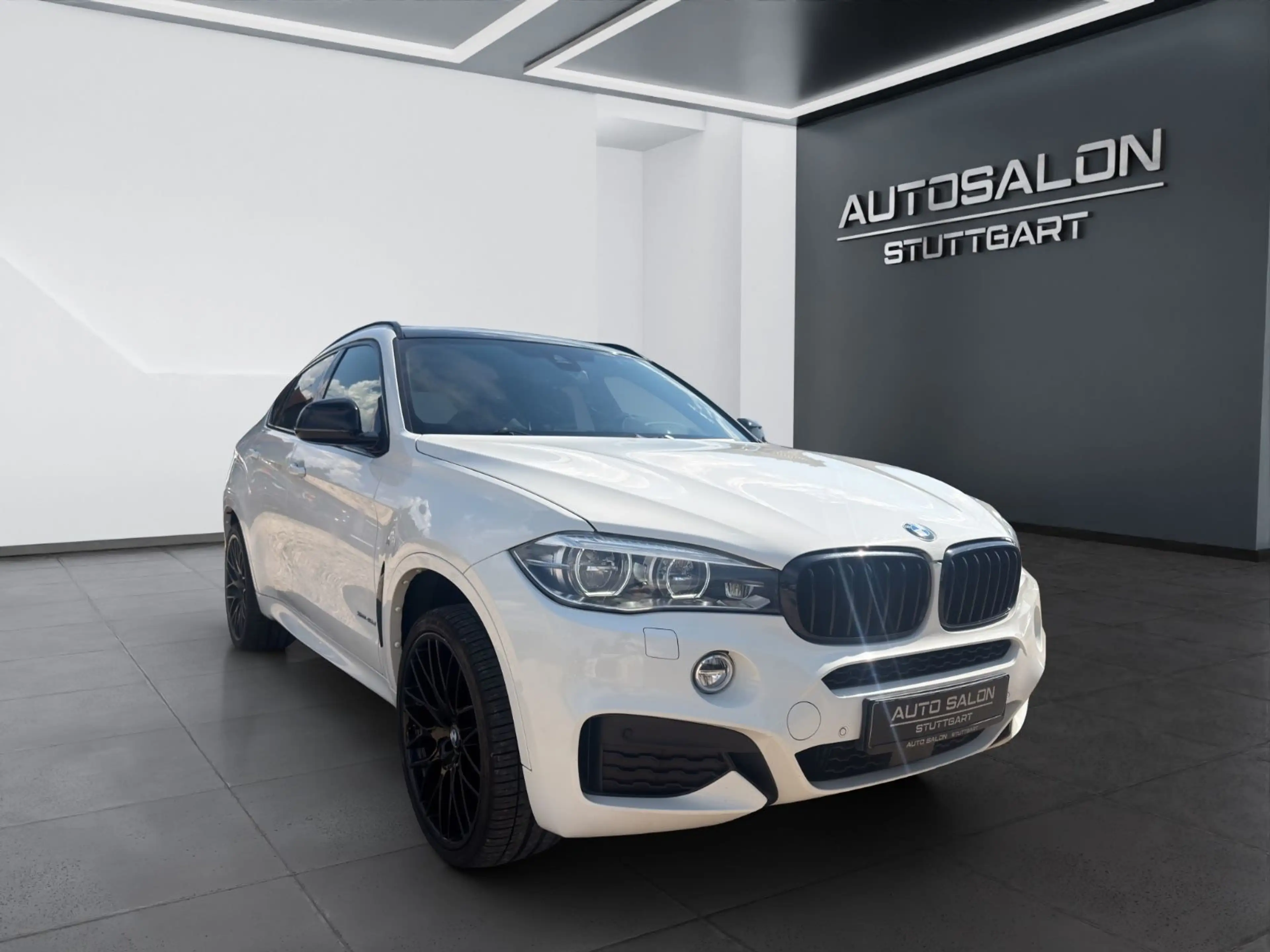 BMW X6 xDrive 40d M-Paket *LED*ACC*H-UP*R-KAM*NAVI* — photo 6