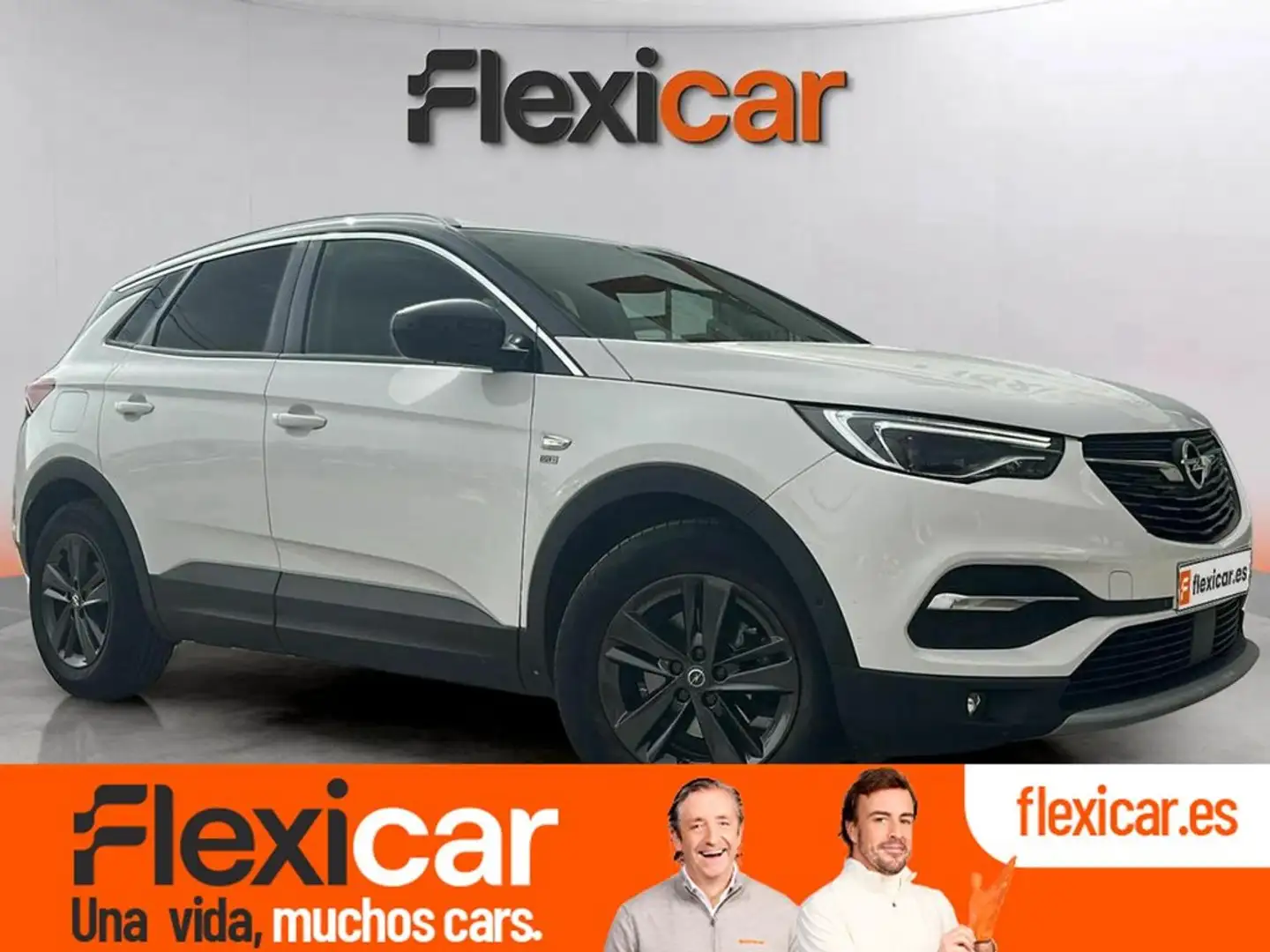 Opel Grandland X 1.2 Turbo Design Line 120 Aniversa. Auto Blanco - 1