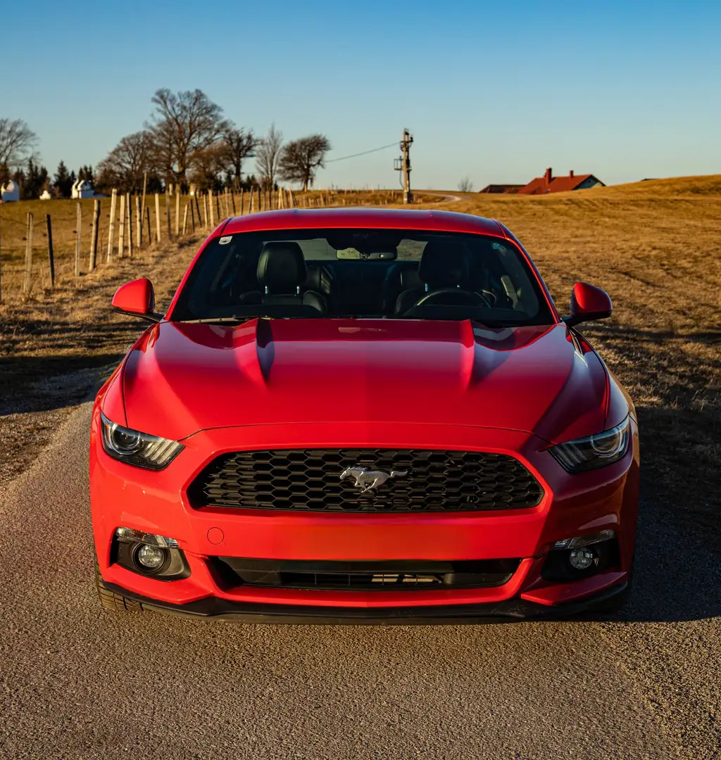 Ford Mustang 2,3 EcoBoost Aut. Rot - 2