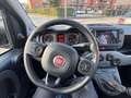 Fiat Panda Panda 1.0 firefly hybrid City Cross s Grijs - thumbnail 16
