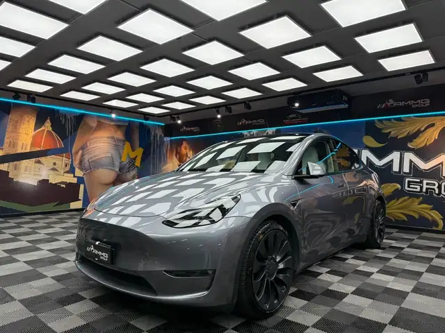 Tesla Model Y TESLA MODEL Y AWD PERFORMANCE (000)