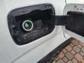 Fiat Panda 1.0 FireFly S&S Hybrid City Life Blanc - thumbnail 15
