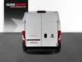 Fiat Ducato 2.2 MJET 140CV 35 L2 H2 Blanco - thumbnail 6