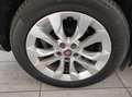 Fiat Tipo (2015-->) - Tipo 1.3 Mjt S&S 5 porte Business Beige - thumbnail 4