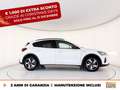 Ford Focus active 1.0 ecoboost h x 125cv powershift Blanc - thumbnail 5