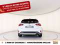 Ford Focus active 1.0 ecoboost h x 125cv powershift Blanc - thumbnail 4