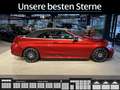 Mercedes-Benz C 300 C 300d Cabrio AMG-Line*Night*FAP*AHK*Camera Rot - thumbnail 6
