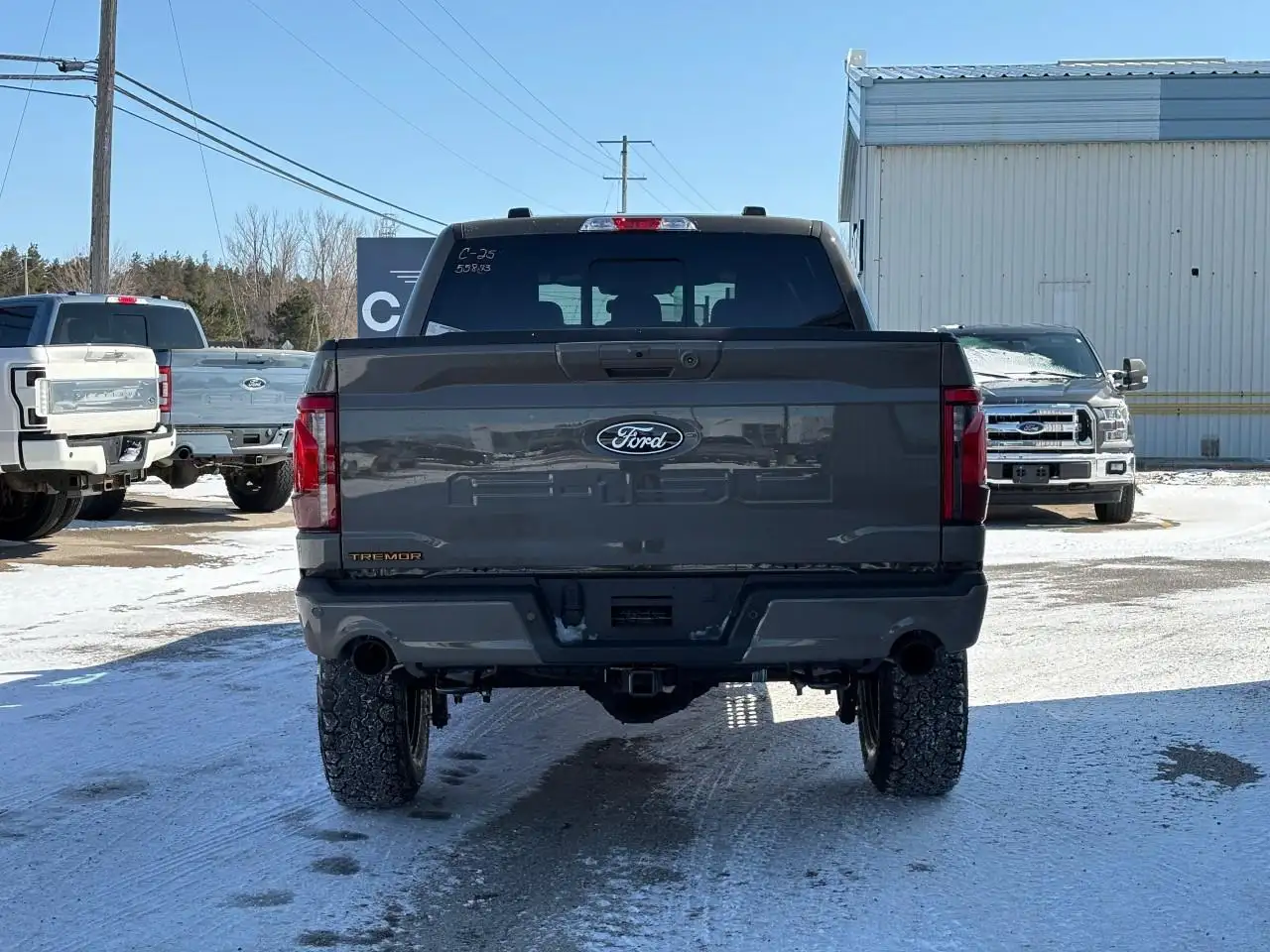 Ford F 150 снимка Ford F 150