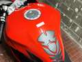 Ducati SuperSport 939 Rosso - thumbnail 7