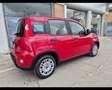 Fiat New Panda 1.0 FireFly Hybrid Rojo - thumbnail 3