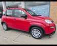 Fiat New Panda 1.0 FireFly Hybrid Rojo - thumbnail 2