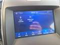 Ford S-Max Vignale 2.0 EcoBlue SCR Aut. Schwarz - thumbnail 14