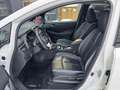 Nissan Leaf e+ Tekna 59KW CCS-Adapter BOSE LEDER SITZ-L Blanc - thumbnail 10