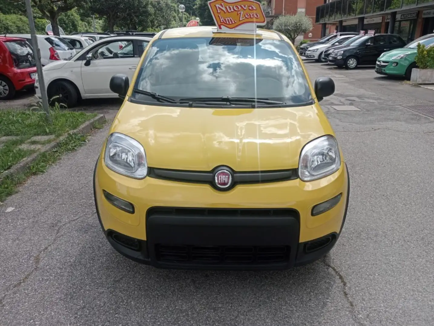 Fiat Panda 1.0 FireFly S&S Hybrid Żółty - 2