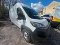 Fiat Ducato 35 Hochr.-Kasten 28 120 L2H2 Blanco - thumbnail 3
