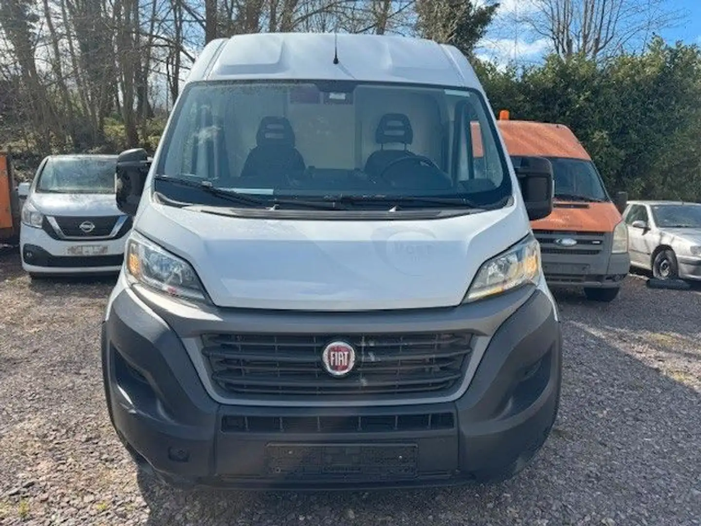 Fiat Ducato 35 Hochr.-Kasten 28 120 L2H2 Blanco - 2