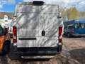 Fiat Ducato 35 Hochr.-Kasten 28 120 L2H2 Blanco - thumbnail 8
