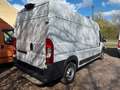 Fiat Ducato 35 Hochr.-Kasten 28 120 L2H2 Blanco - thumbnail 7