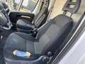 Fiat Ducato 35 Hochr.-Kasten 28 120 L2H2 Blanco - thumbnail 13