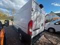 Fiat Ducato 35 Hochr.-Kasten 28 120 L2H2 Blanco - thumbnail 10