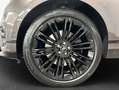 Land Rover Range Rover Velar D300 Autobiography 221 kW, 5-tür Gris - thumbnail 9