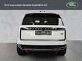 Land Rover Range Rover D300 HSE Blanc - thumbnail 7