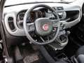 Fiat Panda Easy 1.2 8V EU6d-T DAB PDC Berganfahrass. Klima el Schwarz - thumbnail 5